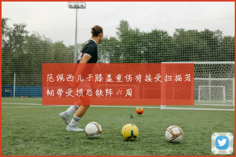 范佩西儿子膝盖重伤将接受扫描若韧带受损恐缺阵六周
