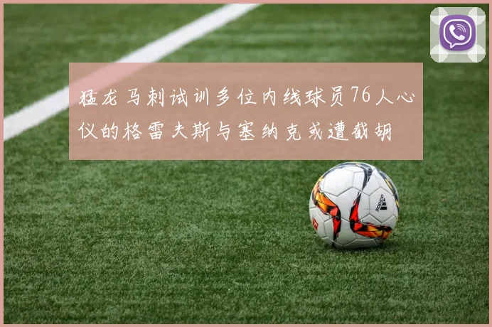 猛龙马刺试训多位内线球员76人心仪的格雷夫斯与塞纳克或遭截胡